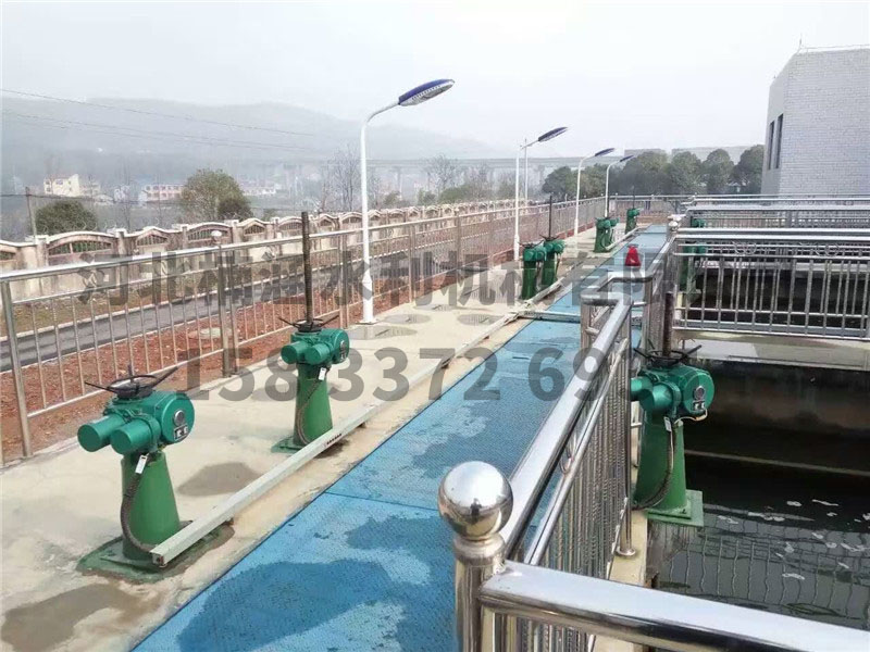 undefined IMG_2757.JPG