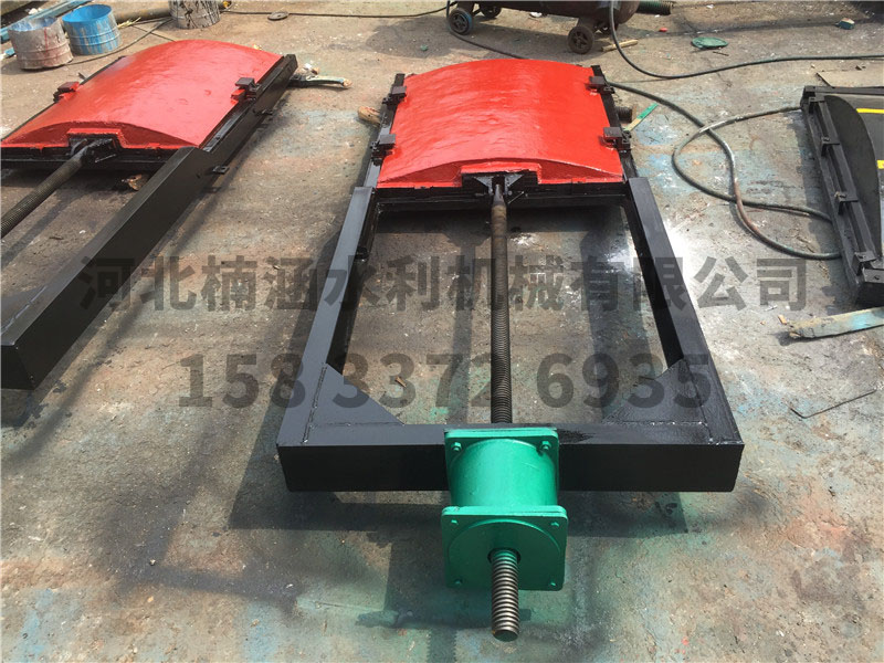 undefined IMG_1147.JPG